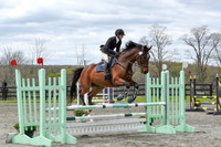 Novice